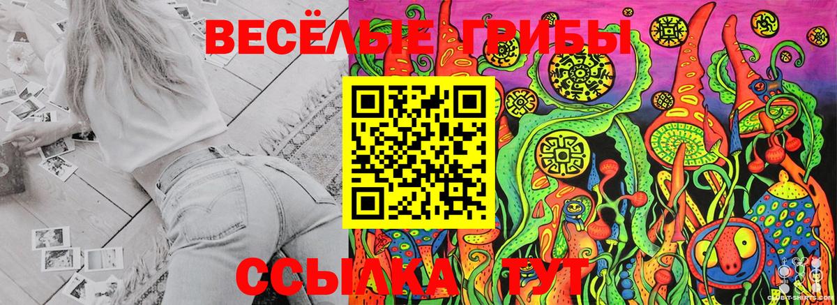 Псилоцибиновые грибы Cubensis  даркнет сайт  Галлюциногенные грибы Psilocybe  Брянск  Вход с VPN 