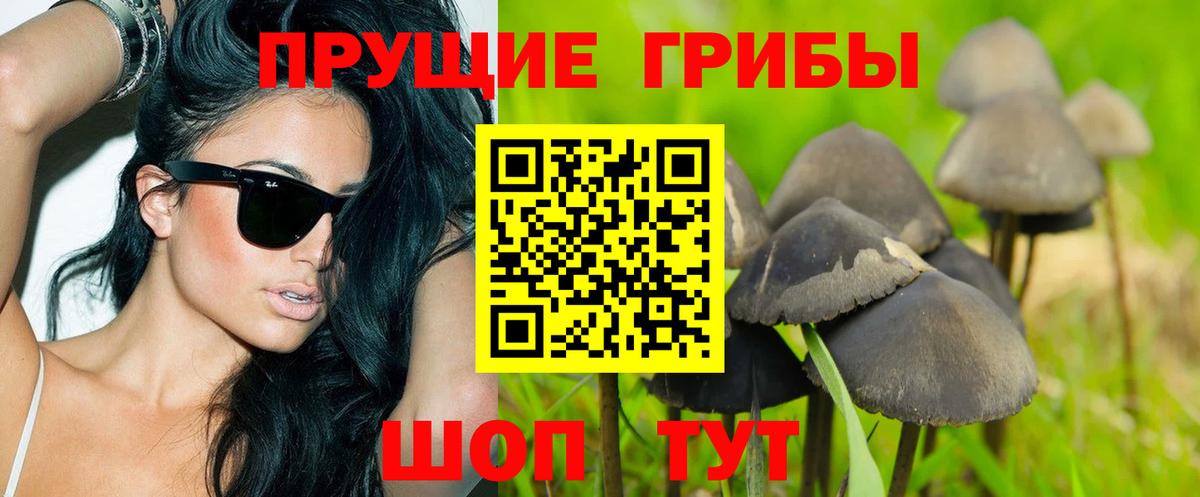 Псилоцибиновые грибы ЛСД Брянск